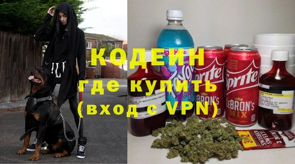 шишки Бронницы