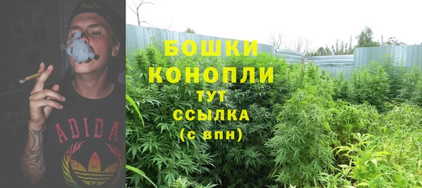 шишки Бронницы